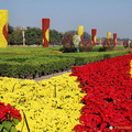 Floral decorations in Tiananmen Square