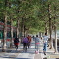 beijing-summer-palace-AJP4194.jpg