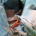 Chinese Jade - Craftsman at Work
