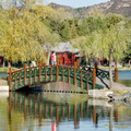 Lake Bridge and Water Reflection