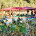 Boat Cruise on Mountain Resort Lake