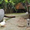 xian-small-wild-goose-pagoda-AJP4840.jpg