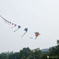 Kite-flying in Xi'an