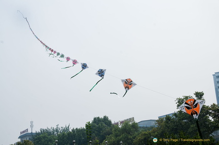 Kite-flying in Xi'an