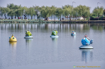 Wuhan East Lake Water Fountains