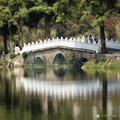 Beautiful White Bridge and its Reflection
