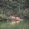 Locals Building their Boat on Shennong Stream