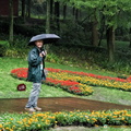 Tony in the Mt Qingcheng Garden