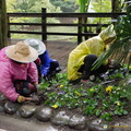 Mt Qingcheng Gardeners at Work