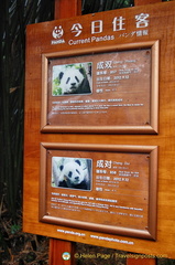 Information About the Current Pandas