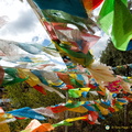 Tibetan Prayer Flags at Dafo Temple